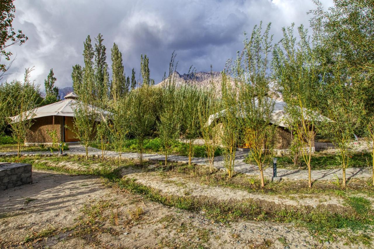 Chalet Seabuckthorn - Hunder Hundar Eksteriør bilde